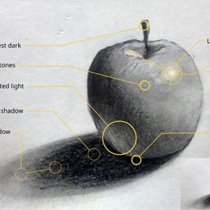 Learn how to achieve the best depth, contrast, movement and lifelike appearance with lights and shadows.